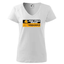 Jsem týhle stavby vedoucí