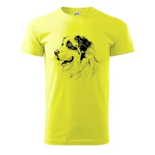 Bernský salašnický pes černá kresba