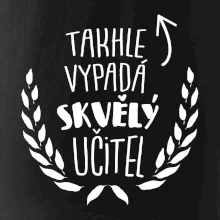 Takhle vypadá skvělý učitel