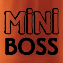 Big boss mini boss