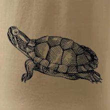Tužkou kreslená želva