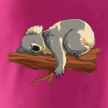 Koala na větvi