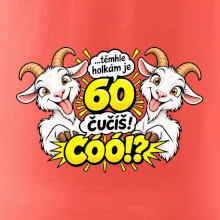 Těmhle holkám je 60, čučíš co?