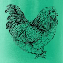 Slepice černobílá