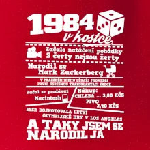 1984 v kostce