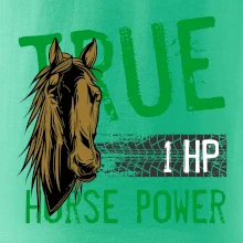 True Horse Power 1 HP