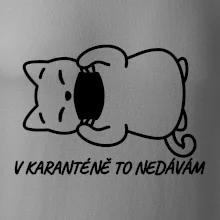 V karanténě to nedávám