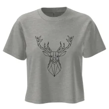 Geometrie - Jelen velký