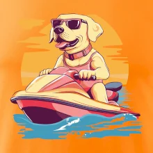 Zlatý retrívr na vodním skútru