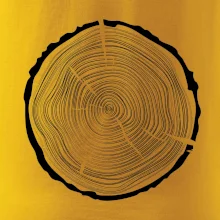 Letokruhy 50 bez věku