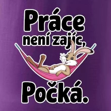 Práce není zajíc, počká.