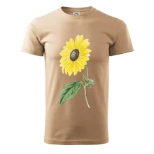 Slunečnice otočená