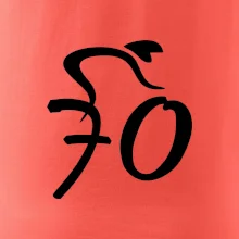 Cyklista slaví sedmdesátku (70)