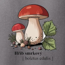 Hřib smrkový - Boletus edulis kreslený