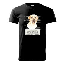 Lump a darebák labrador