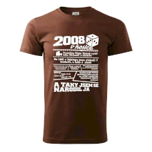 2008 v kostce