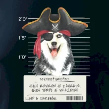 Lump a darebák husky