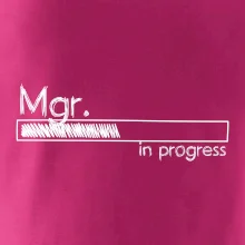 In progress titul Mgr.  magistr / magistra