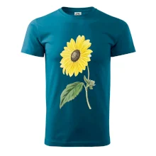 Slunečnice otočená