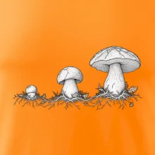 Životní cyklus hřibu
