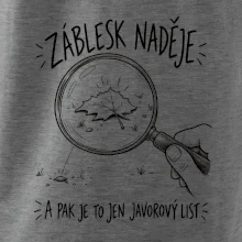 Záblesk naděje