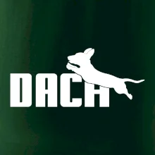 Jezevčík Dach