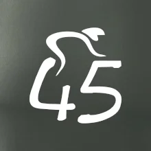 Cyklista slaví pětačtyřicítku (45)