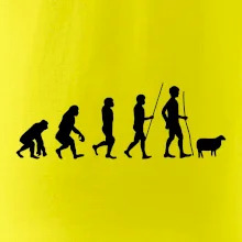 Evoluce pastevec ovcí