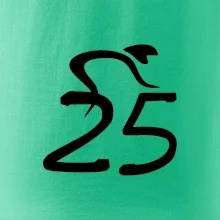 Cyklista slaví pětadvacítku (25)