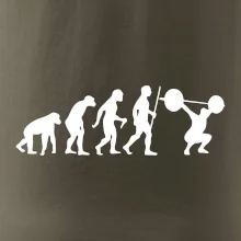 Evolution fitness
