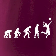 Evoluce volejbal culík