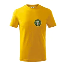 United States Army barevné