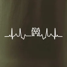 Shih-tzu ekg hlava