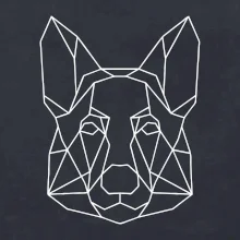 Německý ovčák - Geometrie