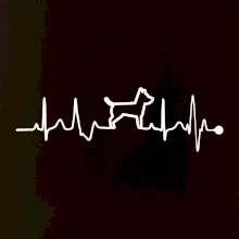 Ekg psí obrys Ekg psí obrys