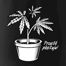 Konopi prostě pěstuju