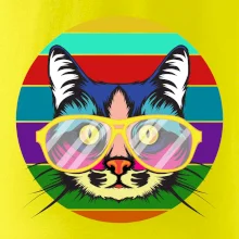 Kočka při barevném západu