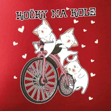 Kočky na kole