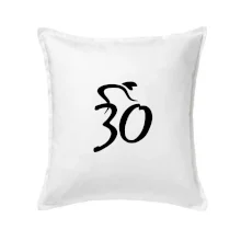 Cyklista slaví třicítku (30)