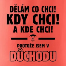 Dělám co chci, kdy chci důchod