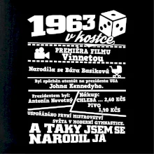 1963 v kostce
