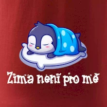 Zima není pro mě