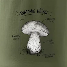 Anatomie hříbka