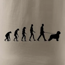 Evoluce pes Briard Evoluce pes Briard