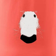 Barzoj čumák (Moňas)