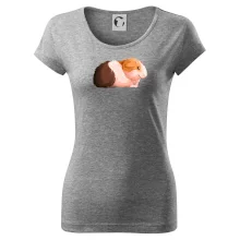 Morče - kreslené z boku