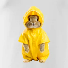 Králík v pláštěnce