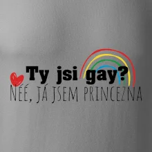 Gay princezna Gay princezna