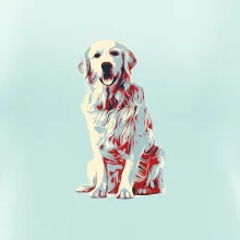 Zlatý retriever vintage