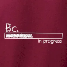 In progress  titul Bc. bakalář / bakalářka